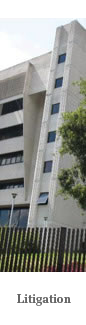derecho procesal